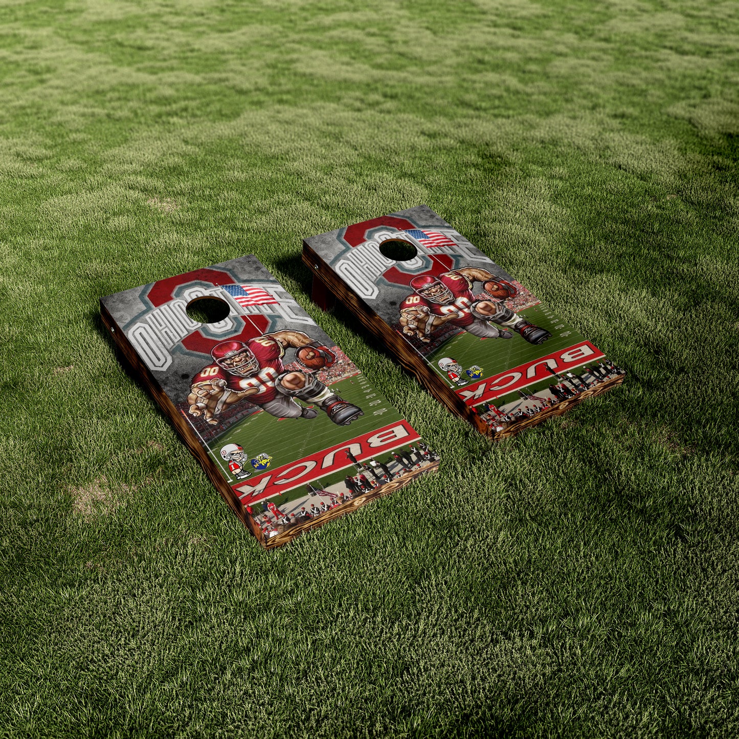 Ohio State Buckeyes Stadium Vinyl Wraps/Skins
