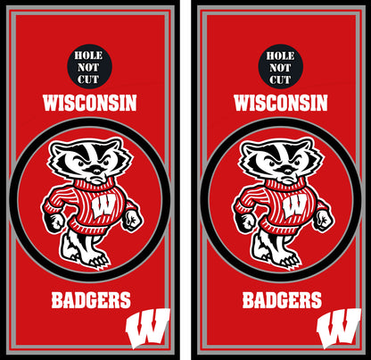 Wisconsin Badgers Printed Vinyl Wraps/Skins