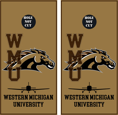 Western Michigan Aviation Vinyl Wraps/Skins