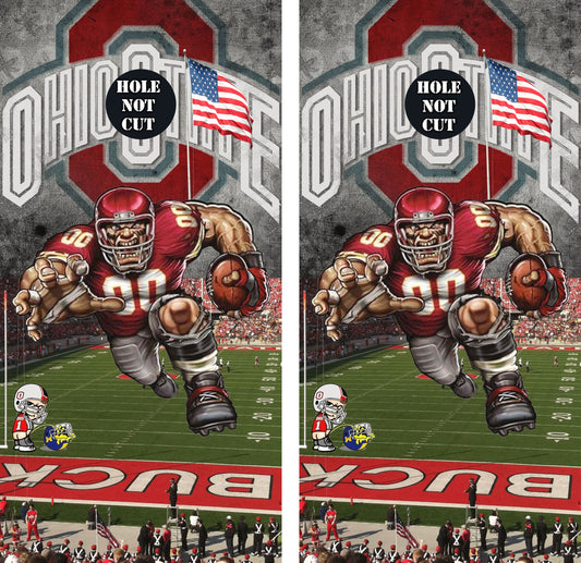 Ohio State Buckeyes Stadium Vinyl Wraps/Skins